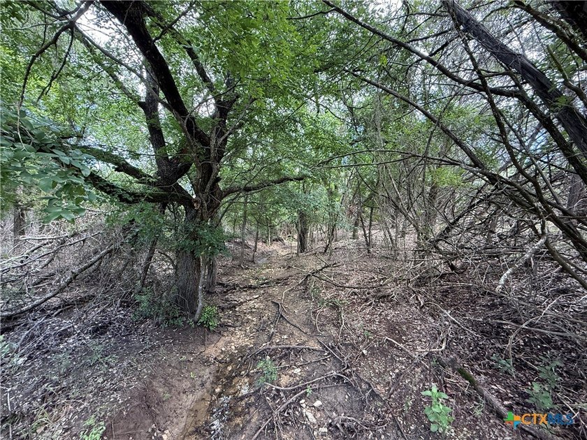 Beautiful acreage with seasonal creek and exceptional views! - photo 21