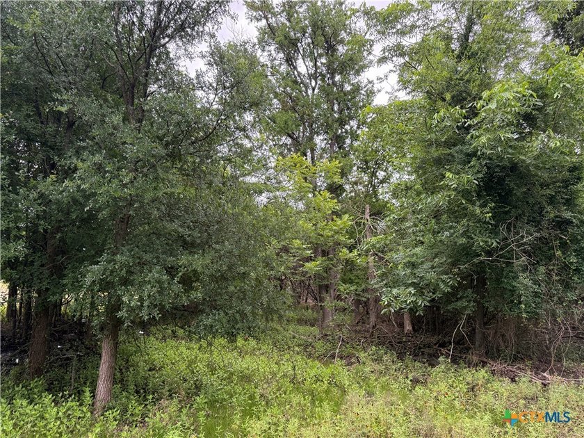 Beautiful acreage with seasonal creek and exceptional views! - photo 22