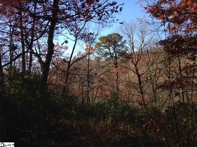 Nestled in the mountains just minutes from Greenville, SC, make - photo 2
