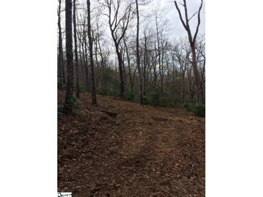 Nestled in the mountains just minutes from Greenville, SC, make - photo 3