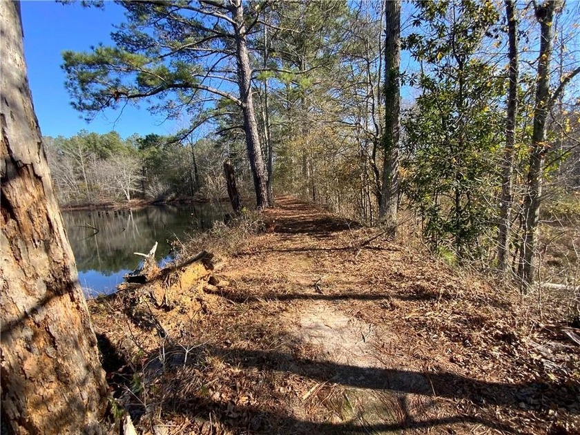 This 15.06 acre property has frontage on two streets. This - photo 6