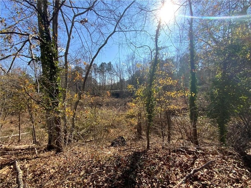 This 15.06 acre property has frontage on two streets. This - photo 9