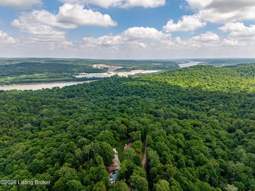 Battletown, KY 9.9 acres with wooded land and deer stand - photo 5