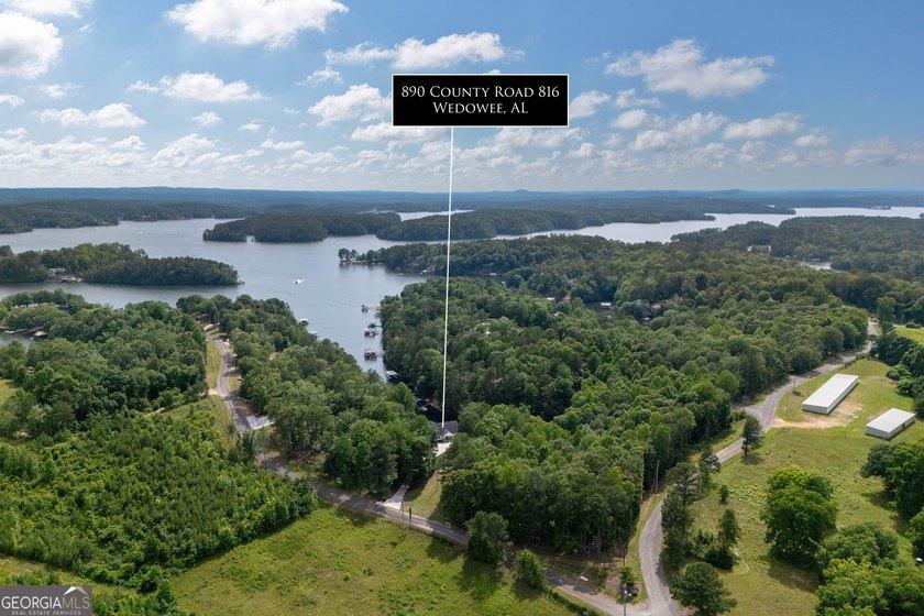 Experience the best of Lake Wedowee living with this stunning - photo 46