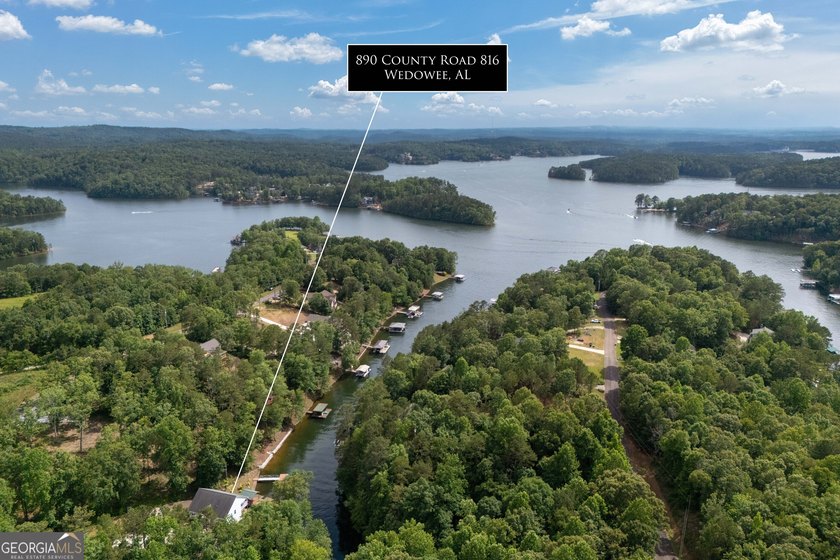 Experience the best of Lake Wedowee living with this stunning - photo 47