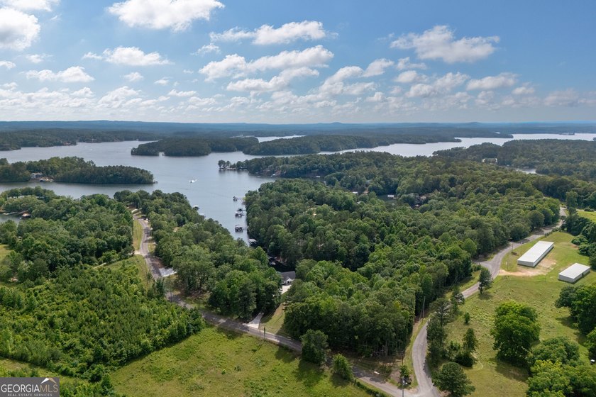 Experience the best of Lake Wedowee living with this stunning - photo 49