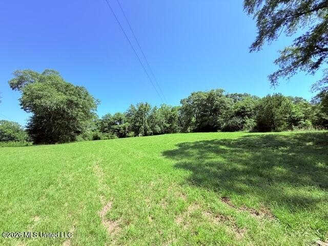 20.63 Acres located on Union Creek Road in Magnolia, MS with - photo 11