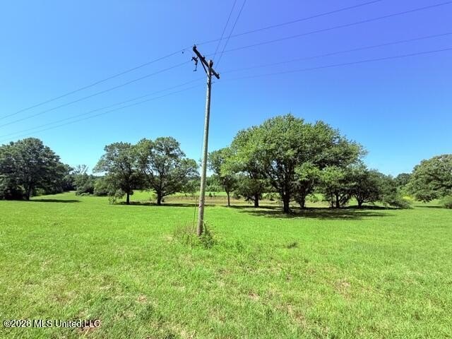 20.63 Acres located on Union Creek Road in Magnolia, MS with - photo 12
