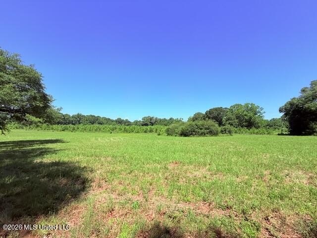 20.63 Acres located on Union Creek Road in Magnolia, MS with - photo 17