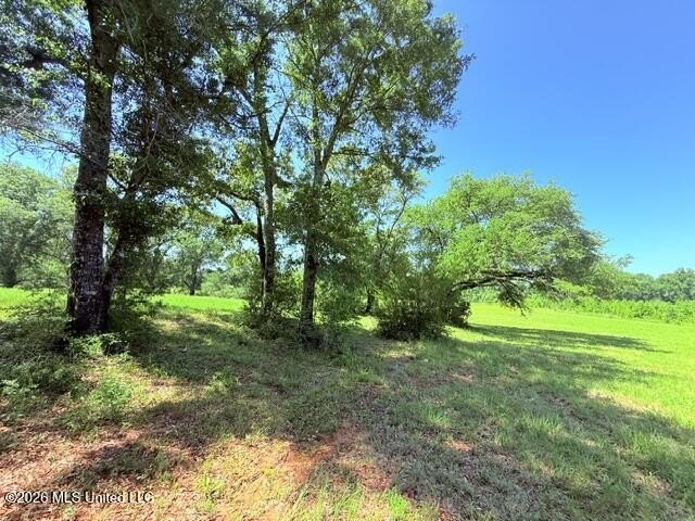 20.63 Acres located on Union Creek Road in Magnolia, MS with - photo 18