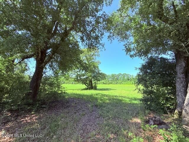 20.63 Acres located on Union Creek Road in Magnolia, MS with - photo 19