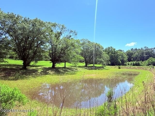 20.63 Acres located on Union Creek Road in Magnolia, MS with - photo 22