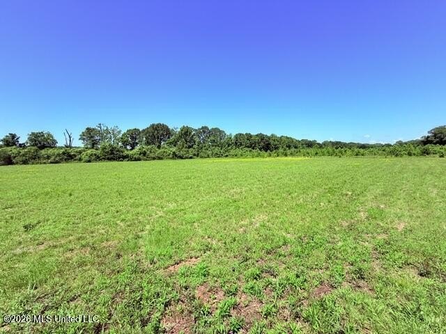 20.63 Acres located on Union Creek Road in Magnolia, MS with - photo 23