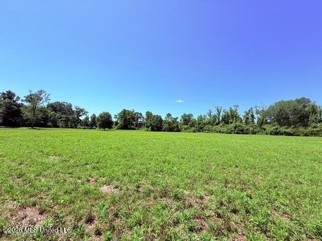 20.63 Acres located on Union Creek Road in Magnolia, MS with - photo 25