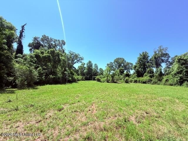 20.63 Acres located on Union Creek Road in Magnolia, MS with - photo 27