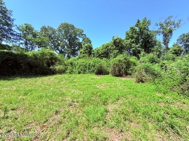 20.63 Acres located on Union Creek Road in Magnolia, MS with - photo 31
