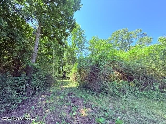 20.63 Acres located on Union Creek Road in Magnolia, MS with - photo 32