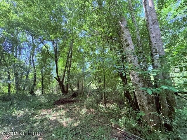 20.63 Acres located on Union Creek Road in Magnolia, MS with - photo 34