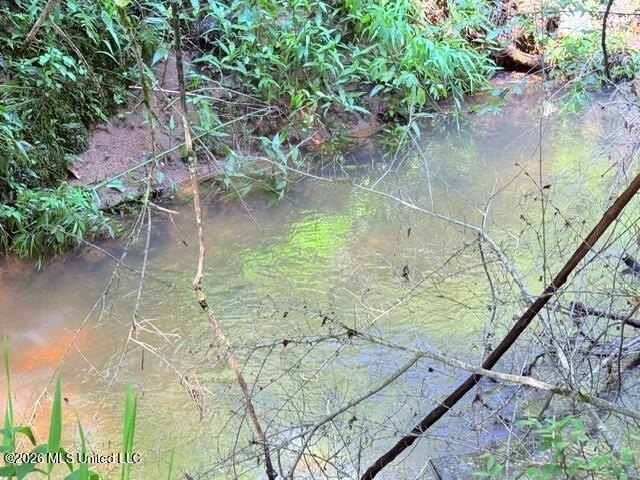 20.63 Acres located on Union Creek Road in Magnolia, MS with - photo 36