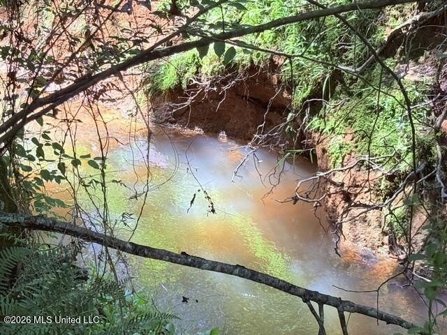 20.63 Acres located on Union Creek Road in Magnolia, MS with - photo 37