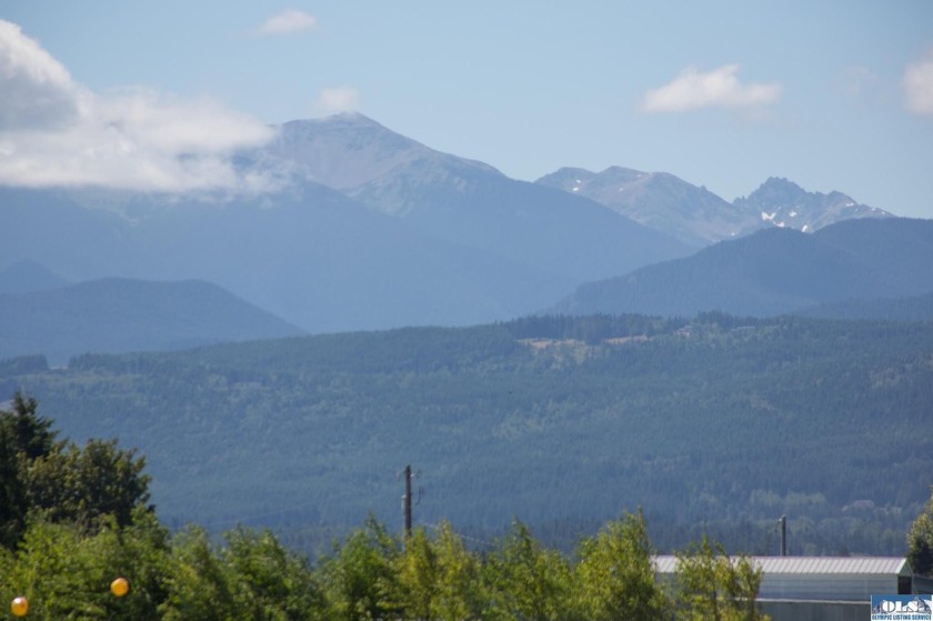 Stunning Panoramic Mountain Views on 9+ Acres! New deluxe shed - photo 3