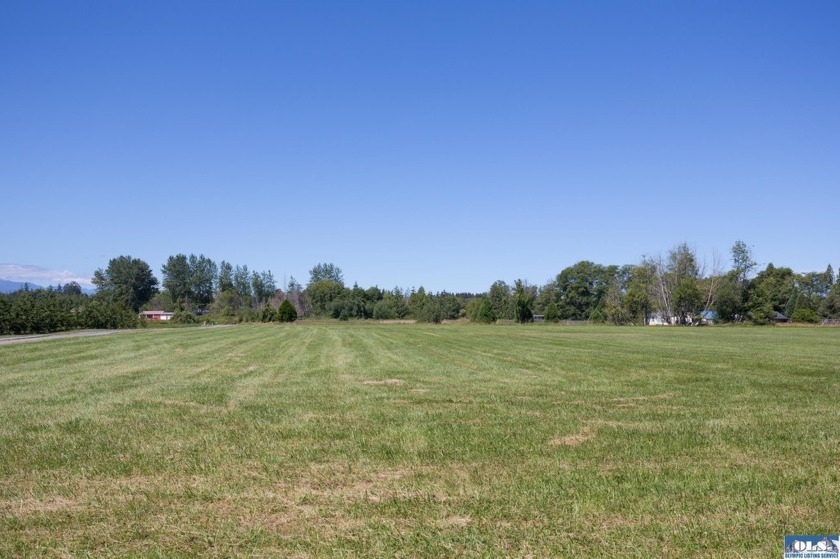 Stunning Panoramic Mountain Views on 9+ Acres! New deluxe shed - photo 7