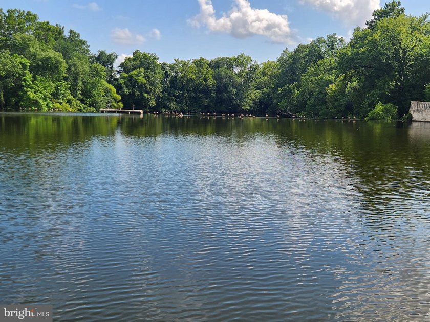 Nestled on the serene banks of Johnson Pond, this charming - photo 31