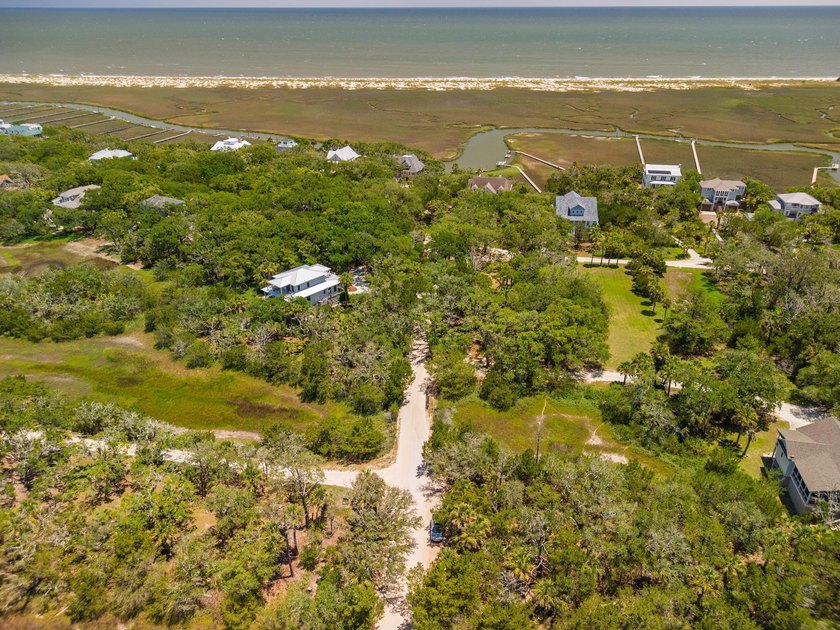 Island living with beautiful Marsh Views &amp; welcoming Sea Breezes - photo 12