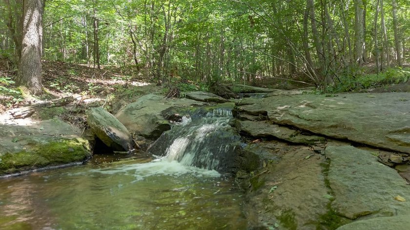 3 CREEKS RETREAT - Totally secluded 'in town' Sportsman's - photo 44