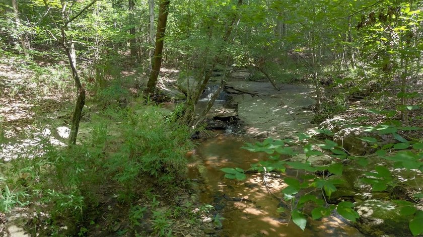 3 CREEKS RETREAT - Totally secluded 'in town' Sportsman's - photo 45