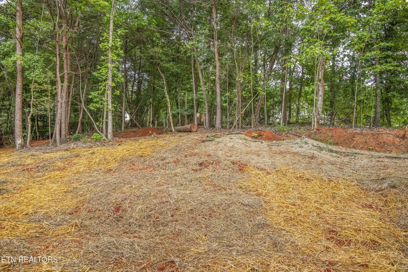 Brand-New Lake Living Awaits! Experience the perfect blend of - photo 36