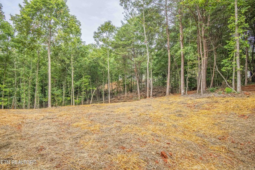 Brand-New Lake Living Awaits! Experience the perfect blend of - photo 38