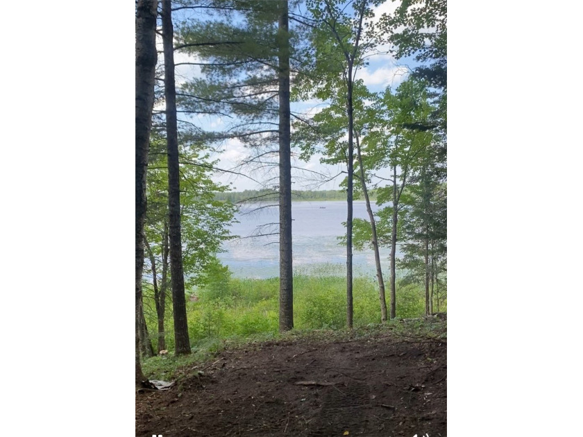 Waterfront Vacant Land with 2 gorgeous Northwoods building sites - photo 8