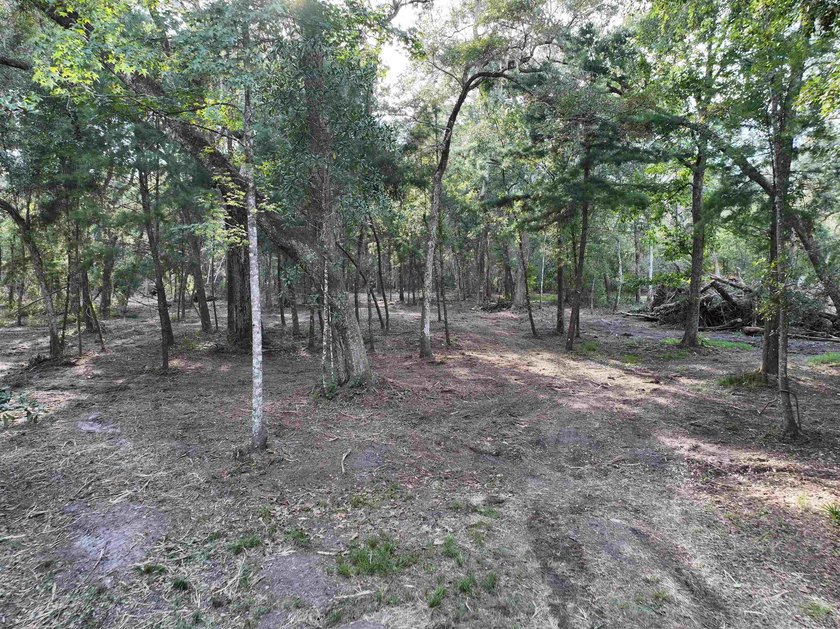 Seller Motivated to Sell! Discover 14.9 acres of pristine - photo 4