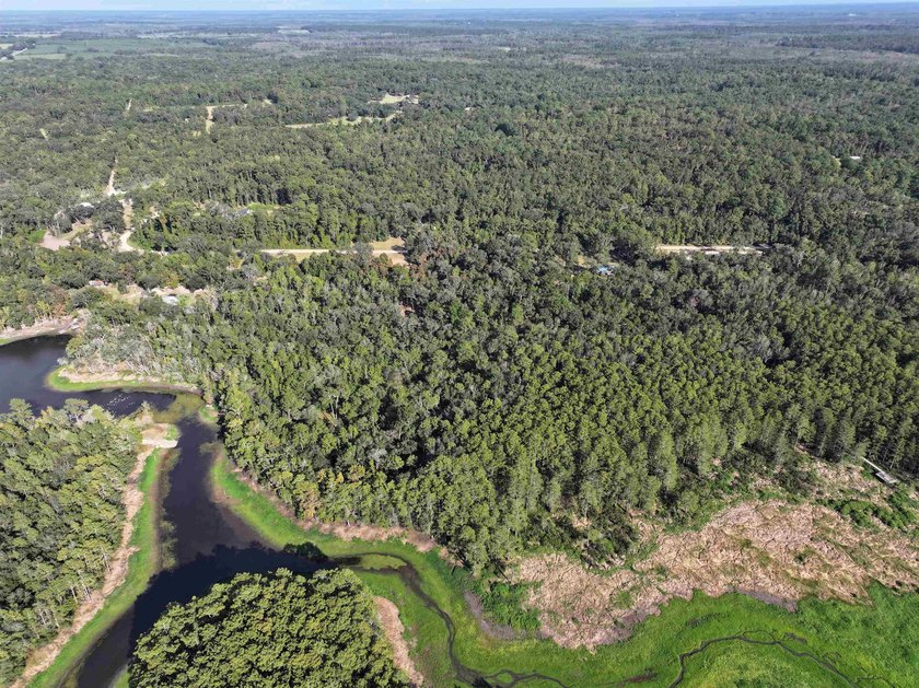 Seller Motivated to Sell! Discover 14.9 acres of pristine - photo 6