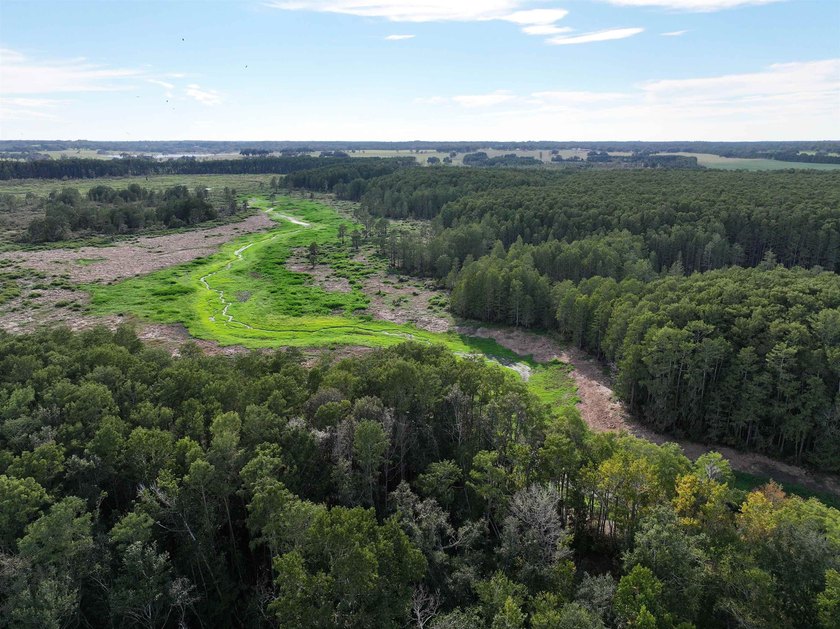 Seller Motivated to Sell! Discover 14.9 acres of pristine - photo 7