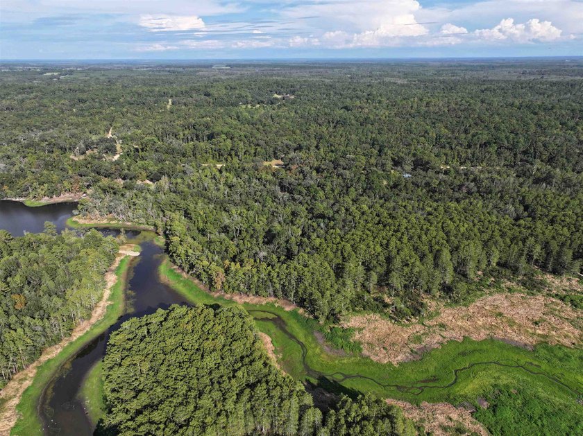 Seller Motivated to Sell! Discover 14.9 acres of pristine - photo 8