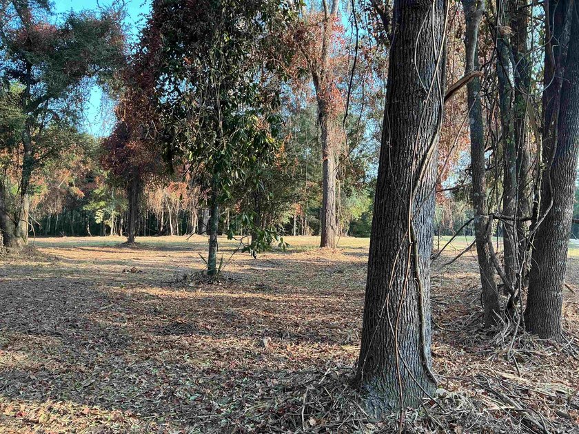 Seller Motivated to Sell! Discover 14.9 acres of pristine - photo 10