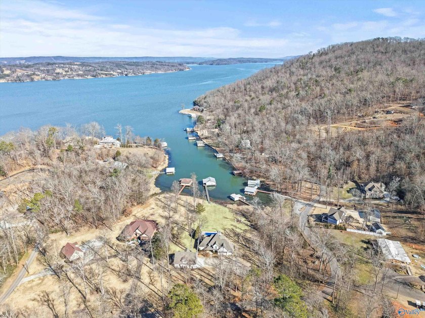 Luxury Waterfront Living! Experience the pinnacle of lakefront - photo 45