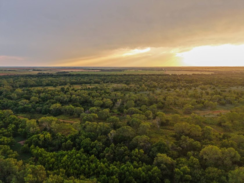 1541 +/- Acres of Riverfront Property **Willing to Divide** Land - photo 13