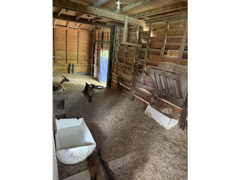 This 2 BR 1.5 Bath fixer upper is a nice 2 acre rural property - photo 21