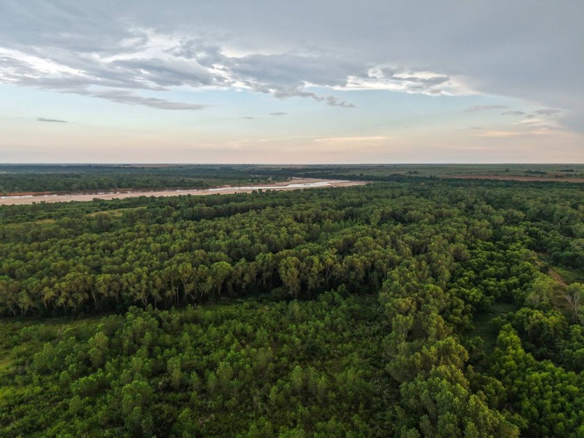1541 +/- Acres of Riverfront Property **Willing to Divide** Land - photo 31