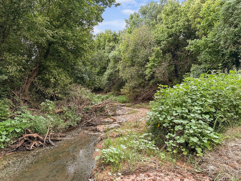 1541 +/- Acres of Riverfront Property **Willing to Divide** Land - photo 36