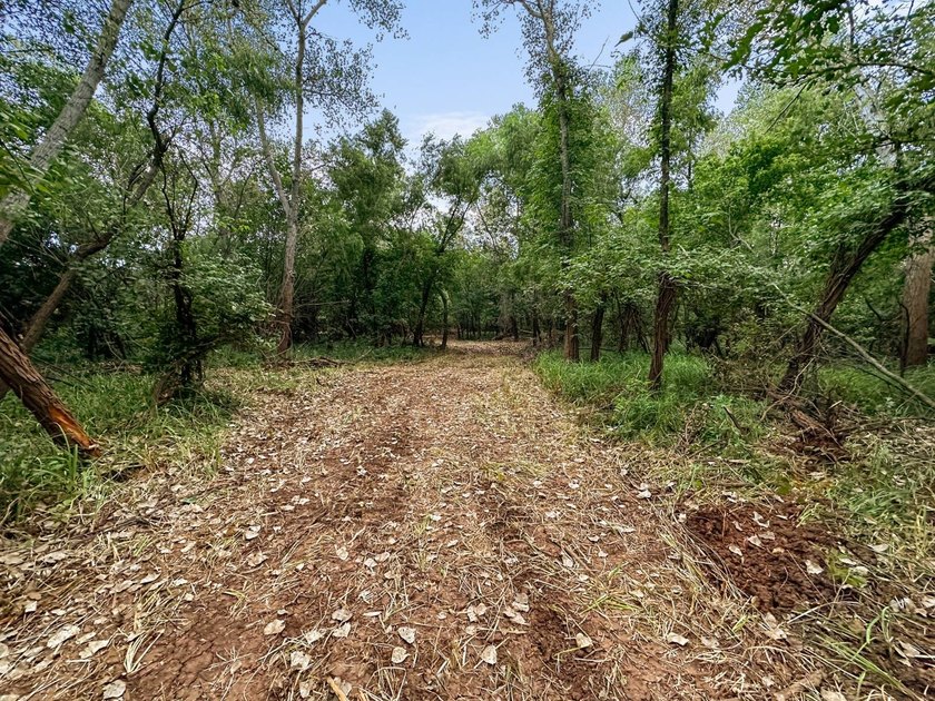 1541 +/- Acres of Riverfront Property **Willing to Divide** Land - photo 37