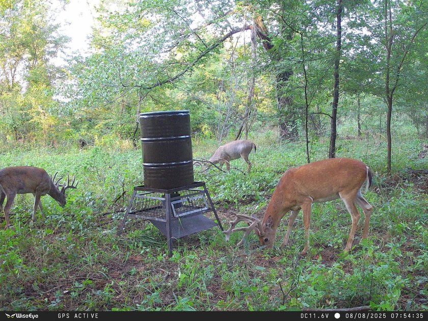 1541 +/- Acres of Riverfront Property **Willing to Divide** Land - photo 38