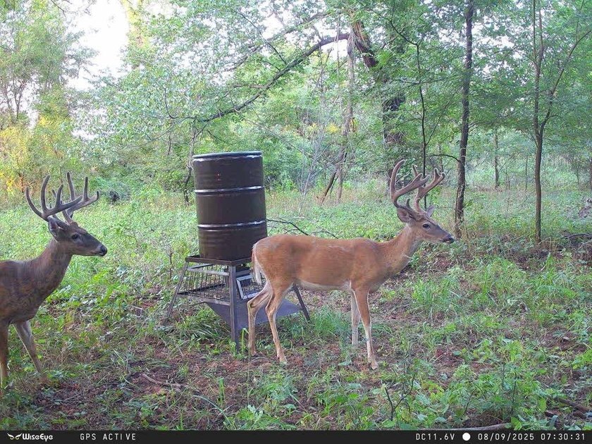 1541 +/- Acres of Riverfront Property **Willing to Divide** Land - photo 39