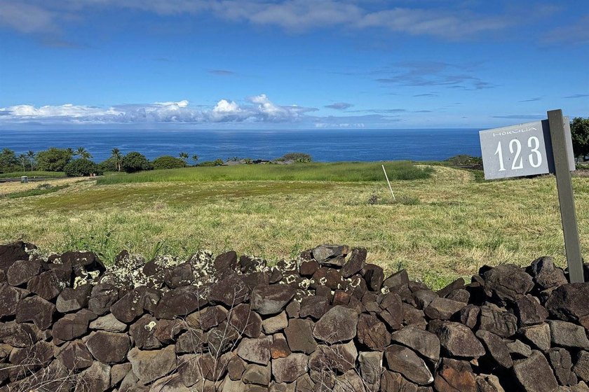 E Komo Mai to Hokuli'a Lot #123 - South Kona Living at Its - photo 8