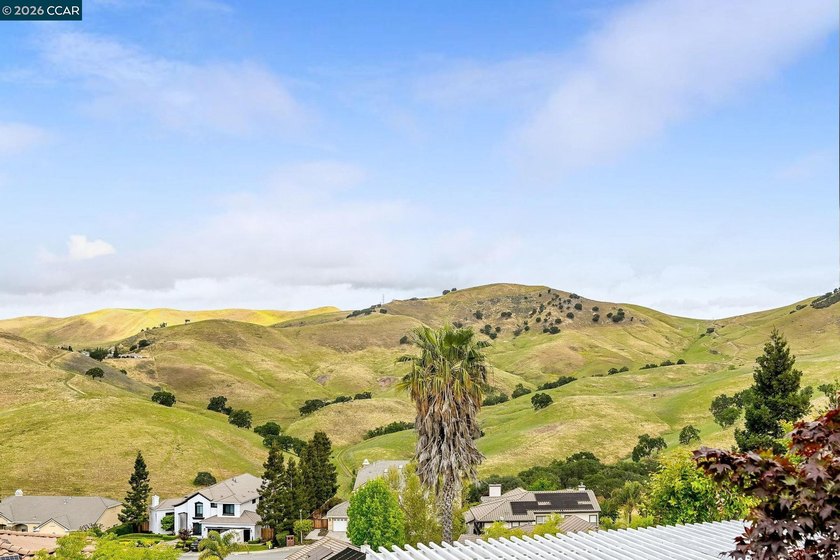 Wow! Check out this incredible price for this Absolutely - photo 33