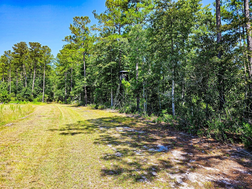 Hidden Lake Retreat consists of 2 large tracts of investment- - photo 28
