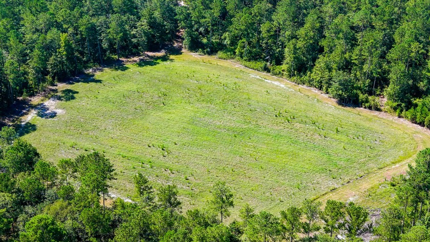 Hidden Lake Retreat consists of 2 large tracts of investment- - photo 29